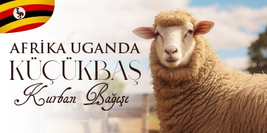Afrika Uganda Küçükbaş Kurban