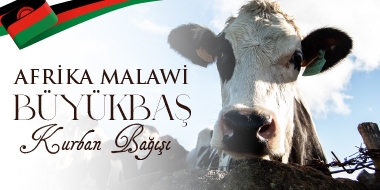 Afrika Malavi  Kurban  Büyükbaş Hisse  Bedeli
