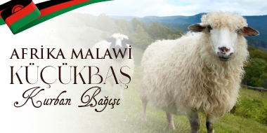 Afrika Malavi  Küçükbaş Kurban  