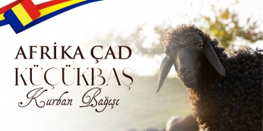 Afrika Çad  Küçükbaş Kurban Bağışı 