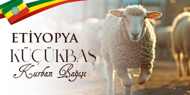  Etiyopya  Küçükbaş Kurban Bağışı 