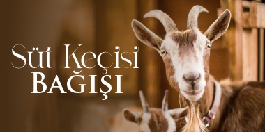  Süt Keçisi  Bağışı 